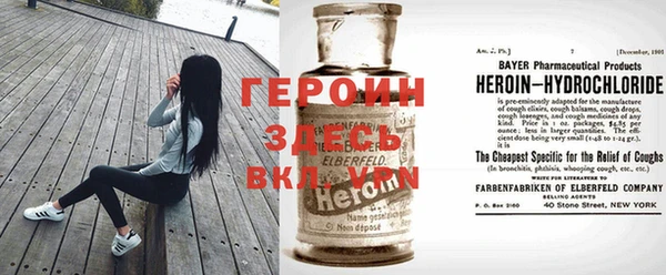ГАЛЛЮЦИНОГЕННЫЕ ГРИБЫ Козловка