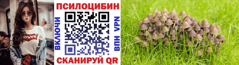 Галлюциногенные грибы MAGIC MUSHROOMS  Пестово 